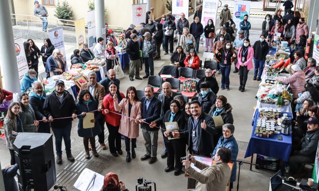 Feria Emprende Mayor vivió su primera versión en Mariquina