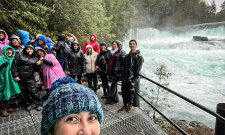 Usuarios del Programa Elige Vida Sana visitaron la Reserva Biológica Huilo Huilo