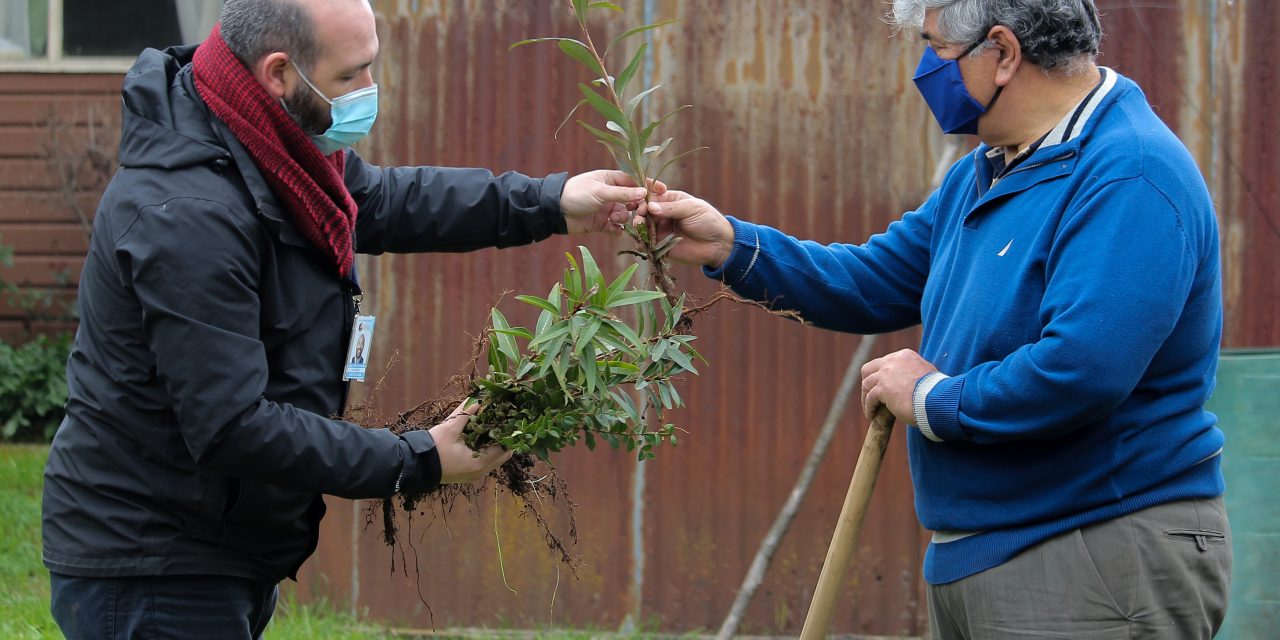 USUARIOS PARTICIPARON EN PLANTACIÓN DE ÁRBOLES NATIVOS EN EL CENTRO INTEGRAL DEL ADULTO MAYOR