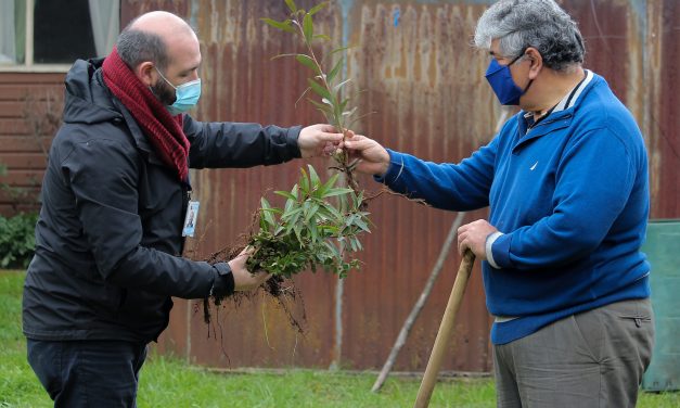 USUARIOS PARTICIPARON EN PLANTACIÓN DE ÁRBOLES NATIVOS EN EL CENTRO INTEGRAL DEL ADULTO MAYOR